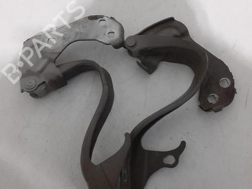 Hinge/Door check strap FIAT 500 (312_) 1.3 D Multijet (312AXB1A) | BP24750269C146