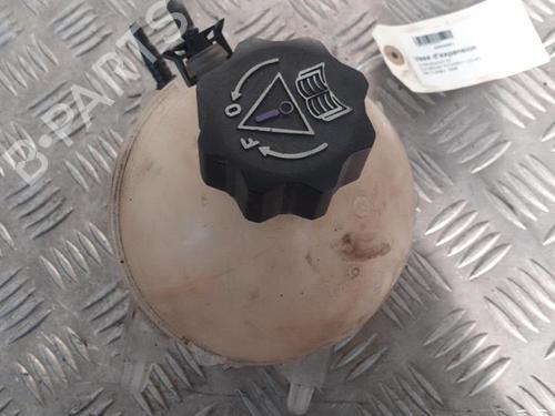 Used Expansion tank CITROËN C4 Grand Picasso I (UA_) 2.0 HDi 138 (136 hp) 24749840