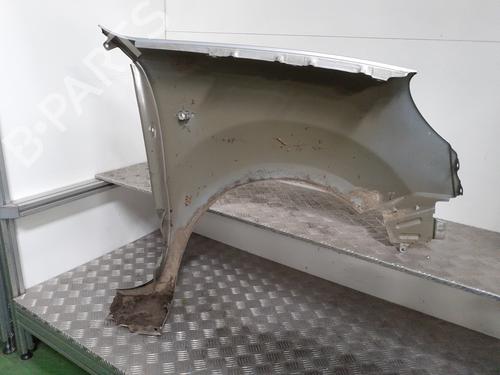 Left front fenders RENAULT KANGOO (KC0/1_) 1.2 16V (KC05, KC06, KC03, KC0T, KC0W, KC1D) | BP24750302C41 