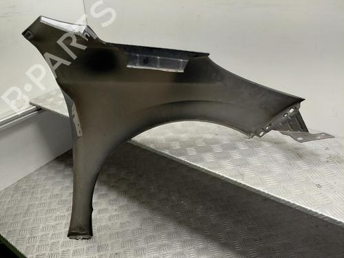 Parafango anteriore sinistro Parafango anteriore sinistro PEUGEOT 207 (WA_, WC_) 1.4 16V (95 hp) 37169172 37169172