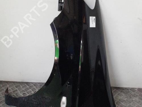 Used Left front fenders HYUNDAI GETZ (TB) 1.1 (67 hp) 24767881