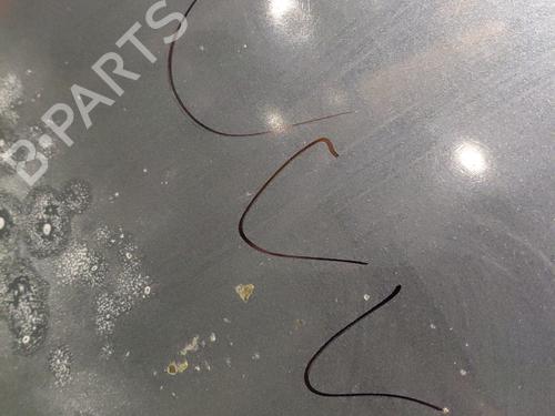 Hood FORD FOCUS I Turnier (DNW) 1.8 TDCi | BP31144104C1 