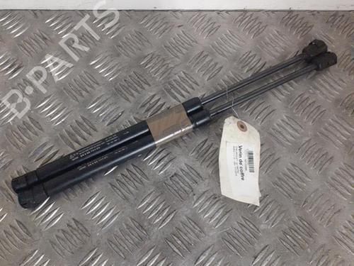 Used Tailgate lift support CHEVROLET AVEO / KALOS Hatchback (T250, T255) 1.2 (84 hp) 24759965