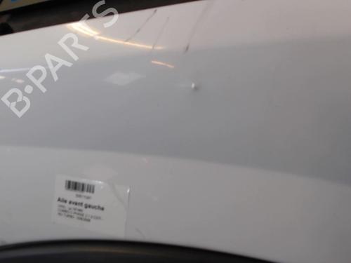Left front fenders OPEL COMBO Box Body/MPV 1.3 CDTI 16V | BP24745096C41 