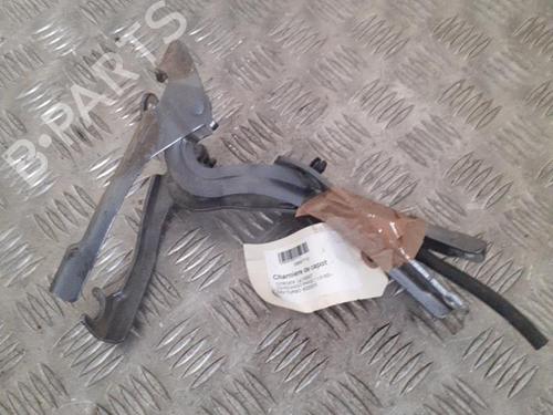 Hinge/Door check strap CITROËN C3 Picasso (SH_) 1.6 HDi | BP24749602C146