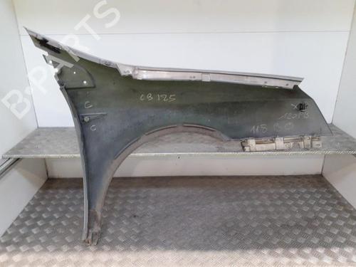 Left front fenders RENAULT VEL SATIS (BJ0_) 2.2 dCi (BJ0E, BJ0F) | BP24751218C41 