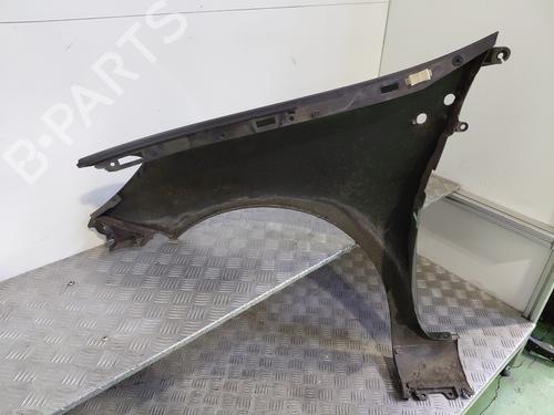 Right front fenders RENAULT CLIO III (BR0/1, CR0/1) 1.6 16V (BR09, BR0T, CR09, CR0T) | BP31376694C42