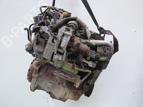 Engine RENAULT KANGOO Express (FW0/1_) | BP35918477M1 - Image 3
