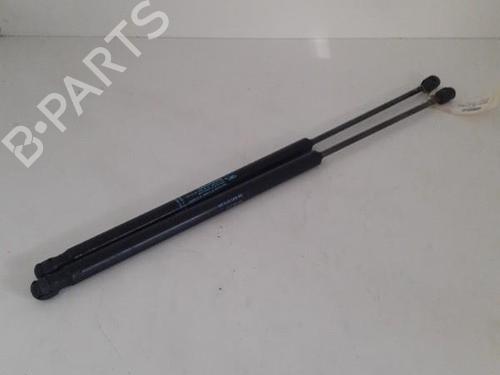 tailgate-lift-support-peugeot-1007-km_-2005-24761093 main image