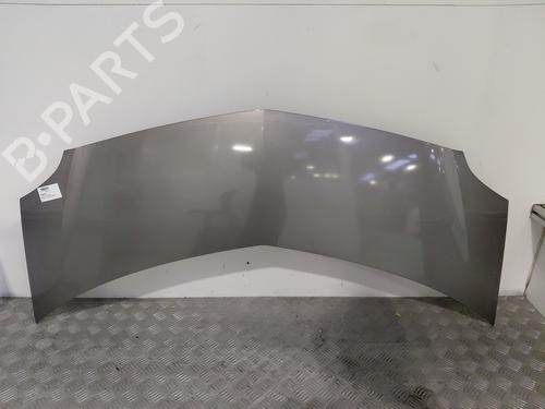 hood-renault-modus-grand-modus-fjp0_-2004-31028947 main image