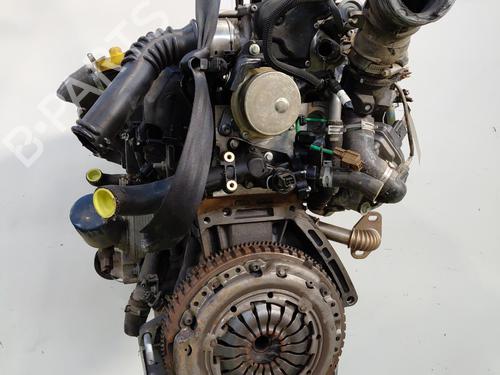 Engine RENAULT KANGOO Express (FW0/1_)  | BP33811631M1  - Image 7