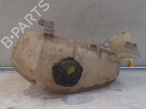 Expansion tank RENAULT KANGOO Express (FW0/1_) 1.5 dCi 80 (FW15) | BP24744595C120 