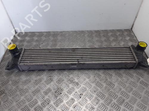 Used Intercooler Intercooler SUZUKI SX4 (EY, GY) 1.6 DDIS (RW416D) (90 hp) 24767965 24767965