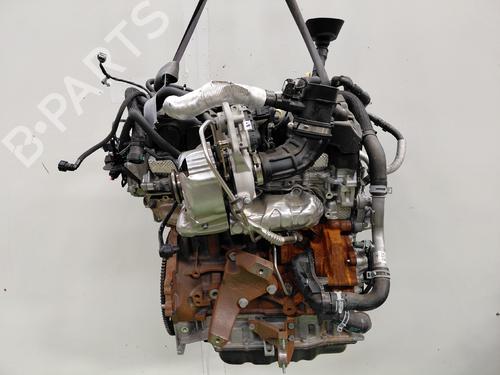 Engine FORD TRANSIT V363 Platform/Chassis (FED, FFD) | BP32308093M1 - Image 5