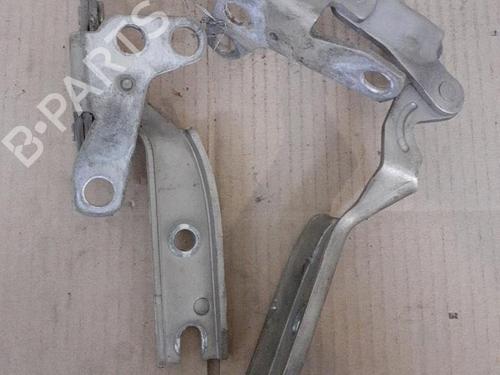 hingedoor-check-strap-citroen-c5-ii-rc_-2004-2005-2006-2007-2008-24748682 main image