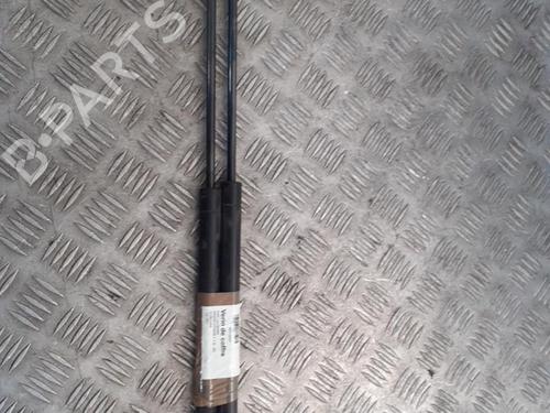 Used Tailgate lift support Tailgate lift support FIAT PANDA (169_) 1.2 (169.AXB11, 169.AXB1A) (60 hp) 24748937 24748937