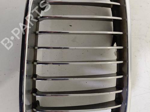 Griglia BMW 3 (E46) 325 i (192 hp) 31335500