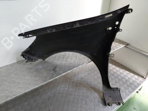 Right front fenders RENAULT CLIO III (BR0/1, CR0/1) 1.5 dCi (C/BR0G, C/BR1G) | BP29284077C42 