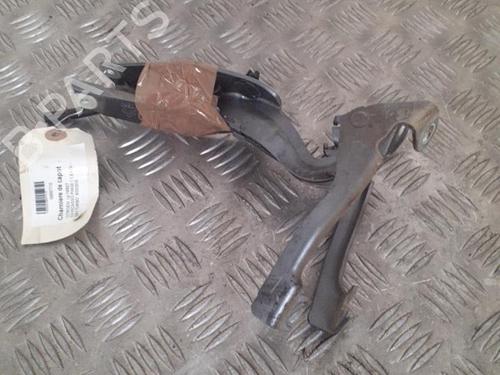 Used Hinge/Door check strap CITROËN C3 Picasso (SH_) 1.6 HDi (90 hp) 24749602