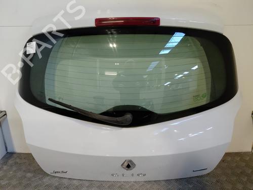 Used Tailgate RENAULT CLIO III (BR0/1, CR0/1) 1.5 dCi (C/BR0G, C/BR1G) (68 hp) 31605275