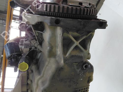 Engine RENAULT KANGOO Express (FW0/1_)  | BP34039339M1  - Image 6