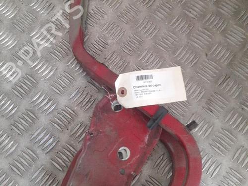 Hinge/Door check strap MINI MINI (R50, R53) One | BP24759779C146 