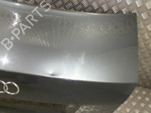 Bakluke CC/Kombi-Kupé AUDI A4 B6 (8E2) 2.5 TDI quattro | BP24755438C6 