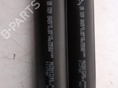 tailgate-lift-support-peugeot-2008-i-cu_-2013-24760598 main image