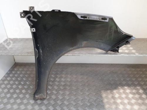 Used Left front fenders RENAULT SCÉNIC III (JZ0/1_) 1.9 dCi (JZ0J, JZ1J, JZ1K, JZ1S) (131 hp) 24741287