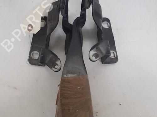 hingedoor-check-strap-renault-koleos-i-hy_-2008-24740539 main image