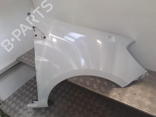 Used Right front fenders RENAULT CLIO III (BR0/1, CR0/1) 1.2 16V Hi-Flex (BR1U, CR1U) (75 hp) 27689574