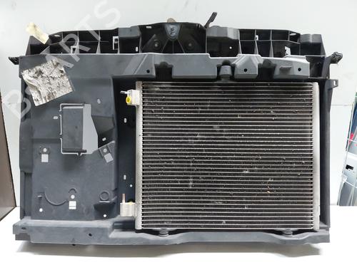 Used Front slam panel PEUGEOT 207 (WA_, WC_) 1.4 HDi (68 hp) 29320024