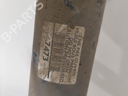 left-front-shock-absorber-citroen-c4-ii-nc_-2009-30692421 main image