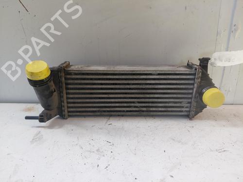 intercooler-renault-kangoo-express-fw01_-2008-36676432 main image