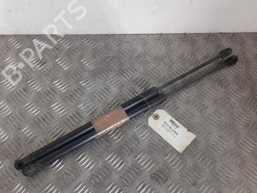 Used Tailgate lift support RENAULT SCÉNIC II (JM0/1_) 1.5 dCi (JM1E, JM16) (106 hp) 24739984