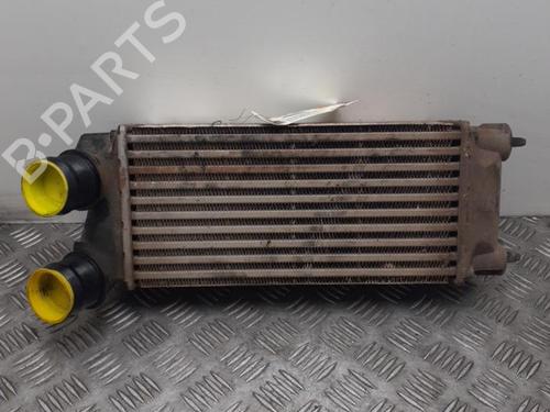 Intercooler CITROËN BERLINGO Box Body/MPV (B9) 1.6 BlueHDi 100 | BP24742421M30 