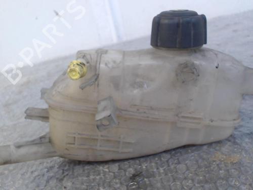 Used Expansion tank RENAULT MEGANE III Hatchback (BZ0/1_, B3_) 1.5 dCi (BZ0C) (90 hp) 24754282
