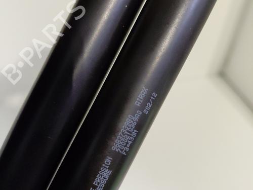 tailgate-lift-support-citroen-c3-ii-sc_-2009-30201299 main image