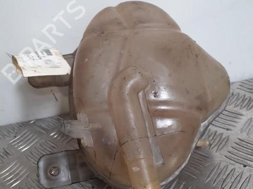 Used Expansion tank FIAT DOBLO Cargo (263_) 1.6 D Multijet (263WXD1B, 263WXR1B, 263WXX1B, 263ZXD1B,... (105 hp) 24750882