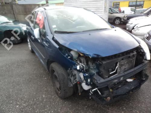 Pedal PEUGEOT 207 (WA_, WC_) 1.4 HDi | BP24769050I4 