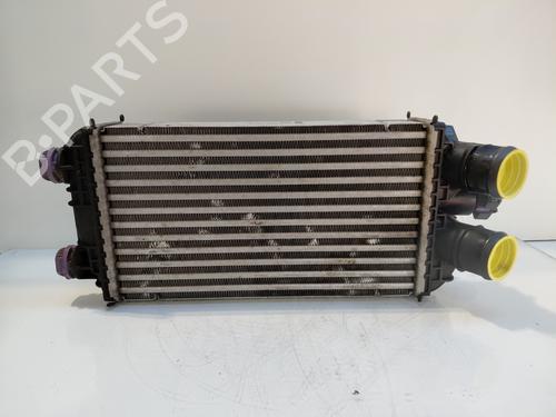 Used Intercooler PEUGEOT 2008 II (UD_, US_, UY_, UJ_, UR_, UC_) 1.2 PureTech 130 (USHNS, URHNS) (130 hp) 27604550