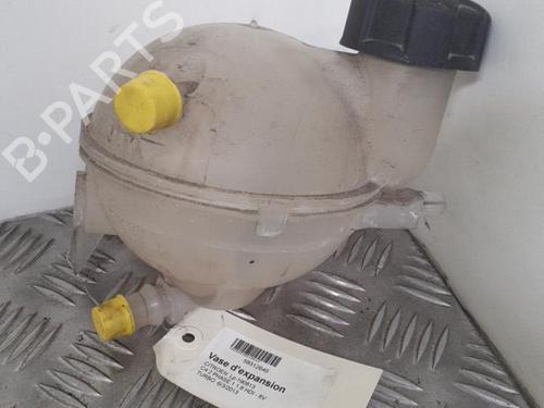 Expansion tank CITROËN C4 II (NC_) 1.6 HDi 90 | BP24760102C120 
