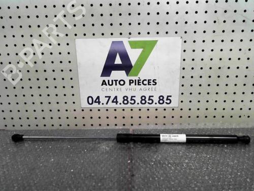 Used Hood lift support DACIA SANDERO II 1.5 dCi (90 hp) 24752799