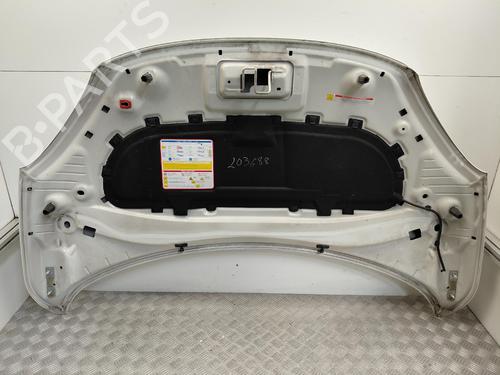 hood-fiat-500x-334_-2014-38290770 main image