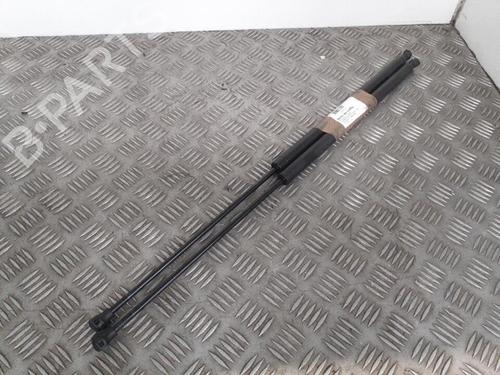 Gassdemper Bakluke CITROËN XSARA PICASSO (N68) 2.0 HDi (90 hp) 24767694