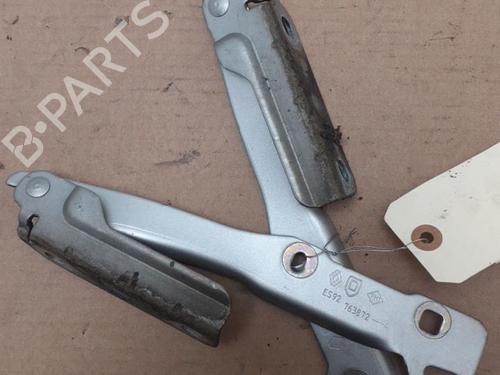 hingedoor-check-strap-dacia-sandero-2008-24757773 main image