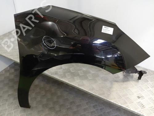 Used Right front fenders CITROËN C3 II (SC_) 1.6 HDi (92 hp) 30176920