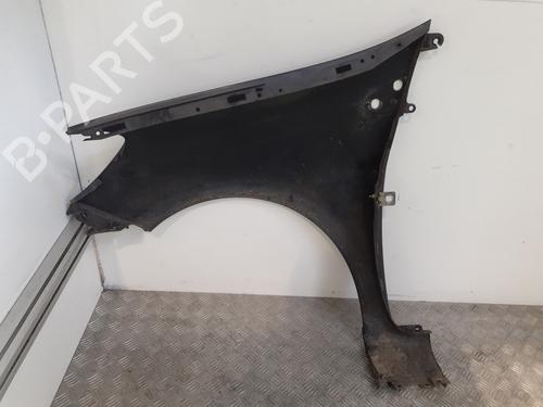 Right front fenders RENAULT CLIO III (BR0/1, CR0/1) 1.5 dCi (C/BR0G, C/BR1G) | BP24849801C42 