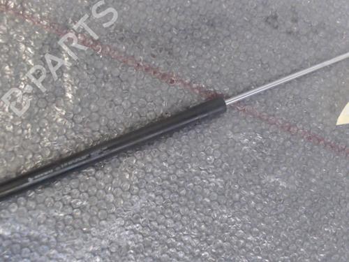 Used Hood lift support DACIA SANDERO II 1.5 dCi (90 hp) 24764978