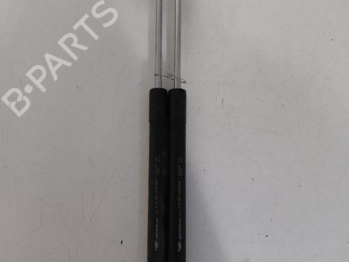 tailgate-lift-support-renault-clio-iii-br01-cr01-2005-2006-2007-2008-2009-2010-2011-2012-2013-2014-36641265 main image